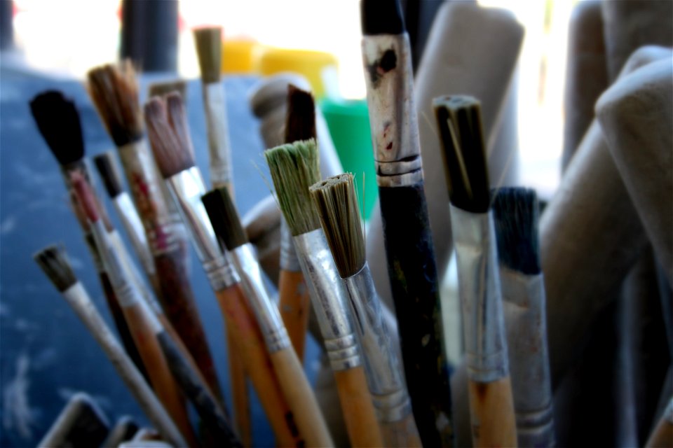 Project 365 #289: 161009 Getting the Brush Off