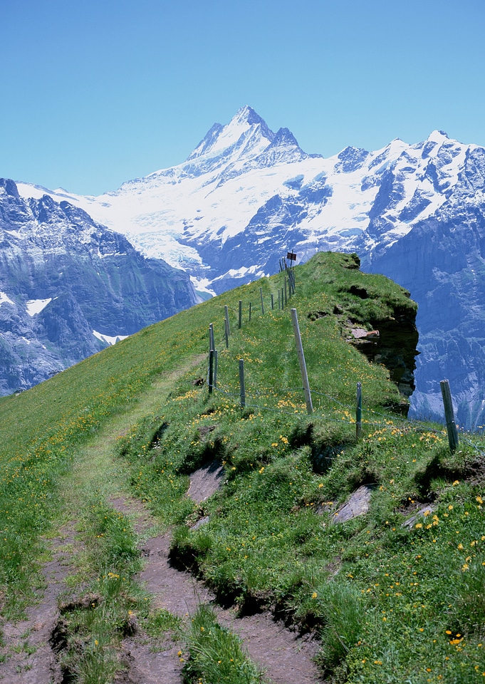 Mount Matterhorn in Zermatt, Switzerland