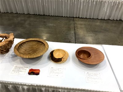 AAW 2022 Woodturners Symposium