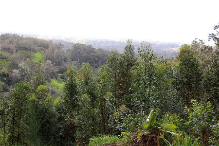 View at Sunset Ranch, Haleiwa, NI