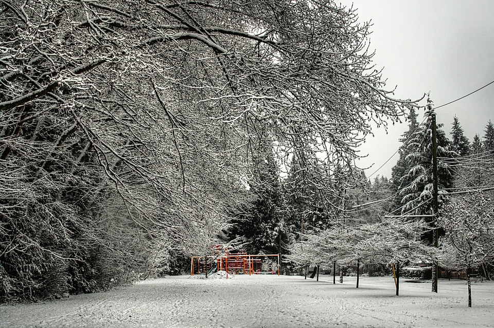 Murdo Frazer Park in Vancouver, Canada