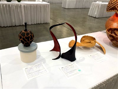 AAW 2022 Woodturners Symposium