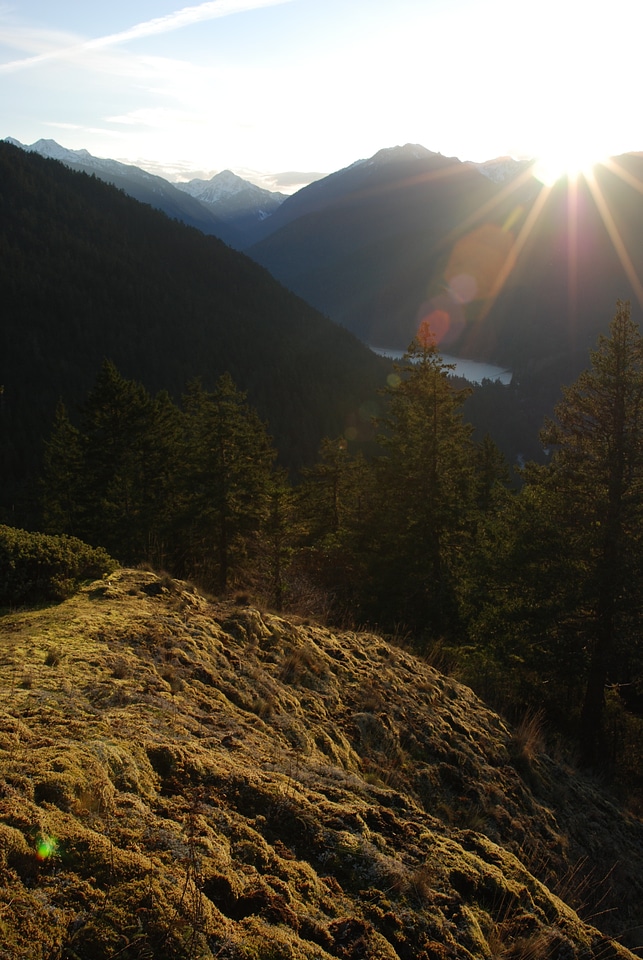 Griff Trail, Elwha Valley