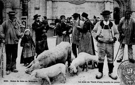 Quimper foire aux cochons vers 1900 photo