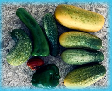 Peppers and Cucumbers photo
