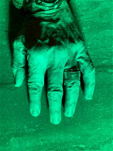 Green Hand photo