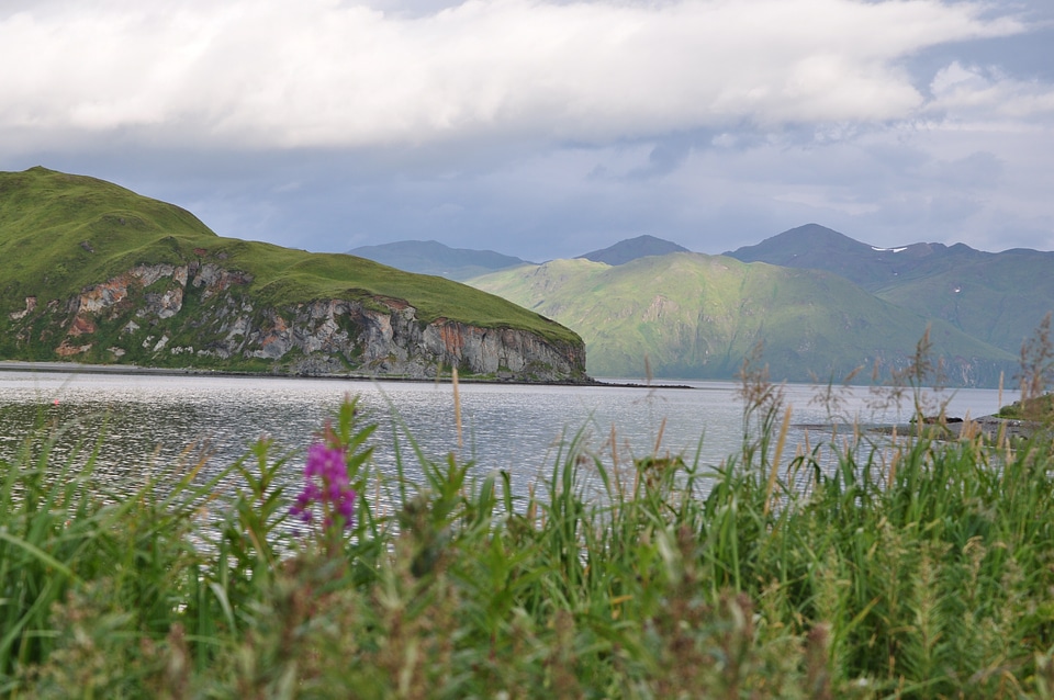 lowers, and inlets of Unalaska Island Alaska
