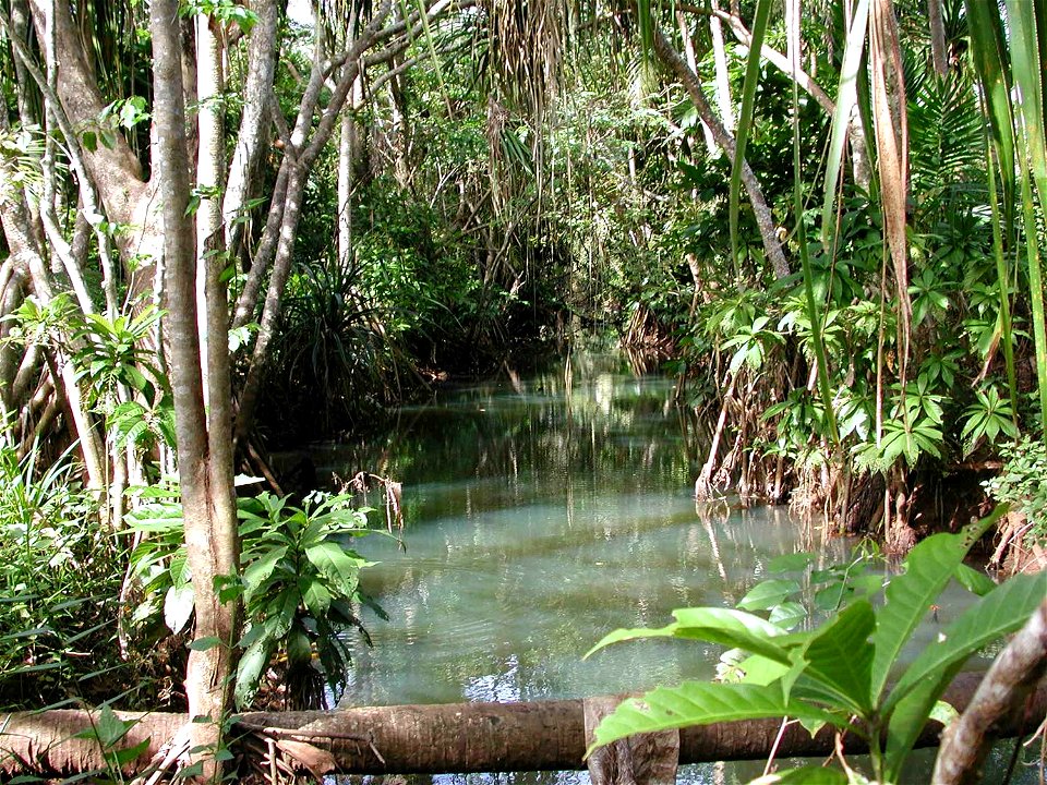 Acfayan River looking upstream