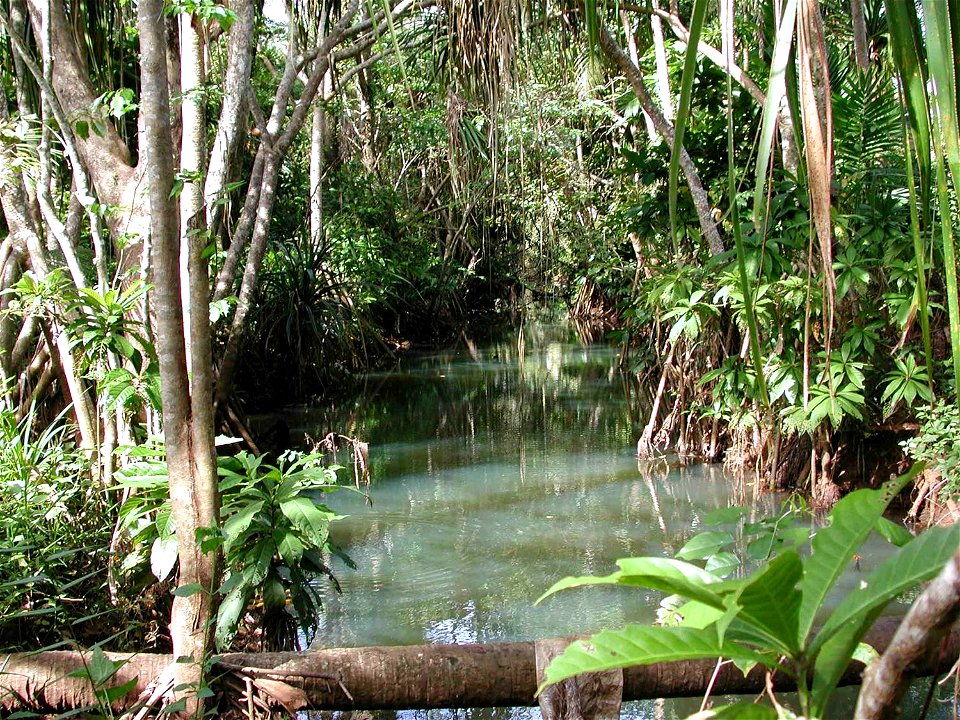 Acfayan River looking upstream photo