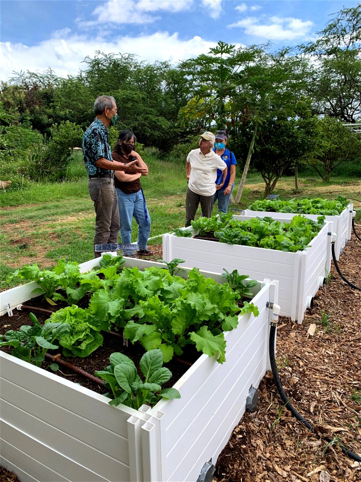 Planter Boxes at Mountain View Farm