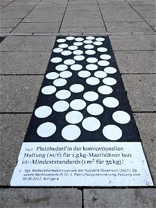 Platzbedarf in der konventionellen Haltung (AUT)