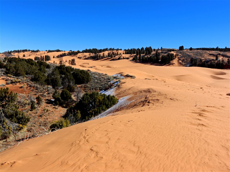 Coral Pink Sand Dunes in UT