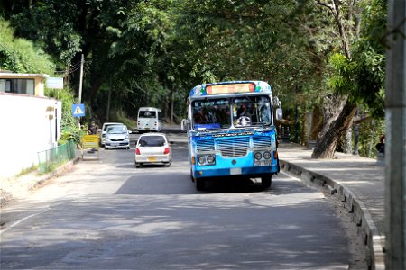 Bus