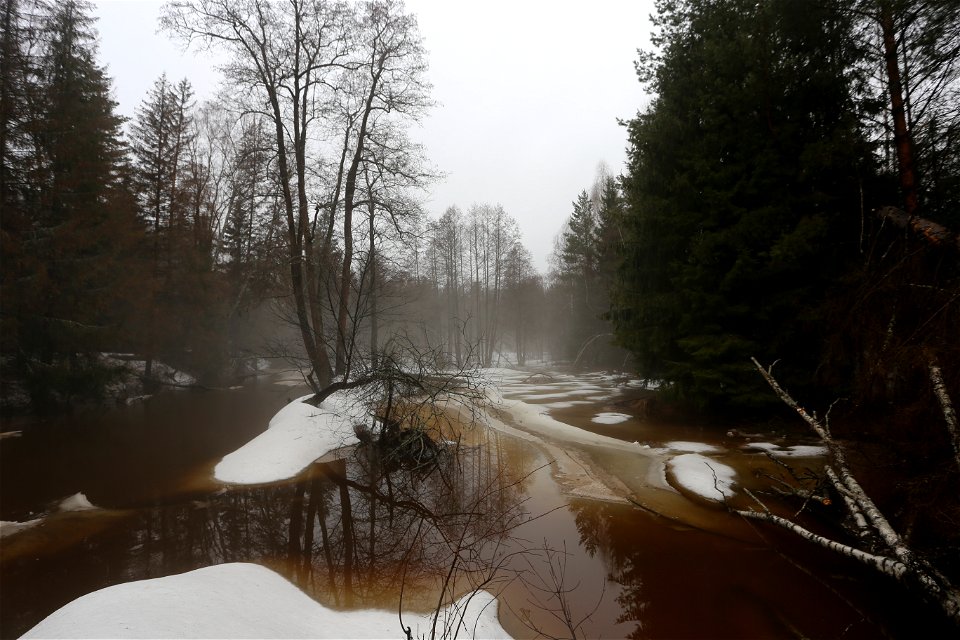 Spring river