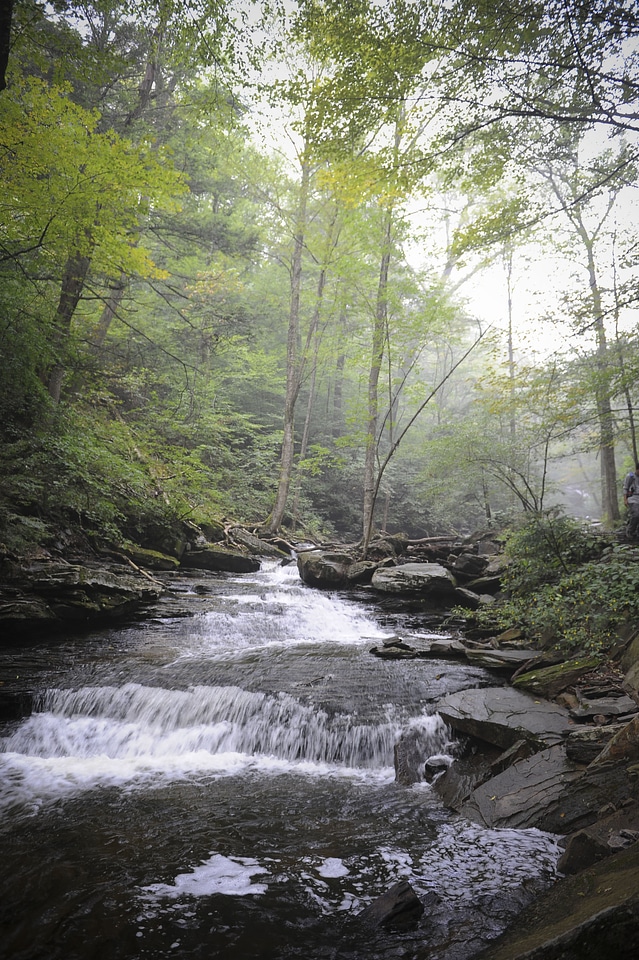 Ricketts Glen State Park