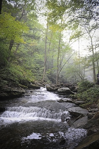 Ricketts Glen State Park