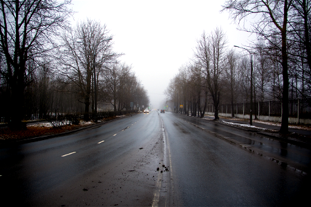Туманная дорога / Foggy road photo