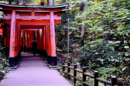 伏見稲荷/Fushimi Inari Shrine