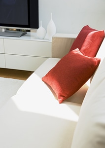 Interior design series: living room photo