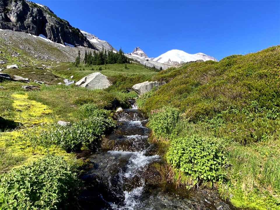 Summerland at Mt. Rainier NP in WA