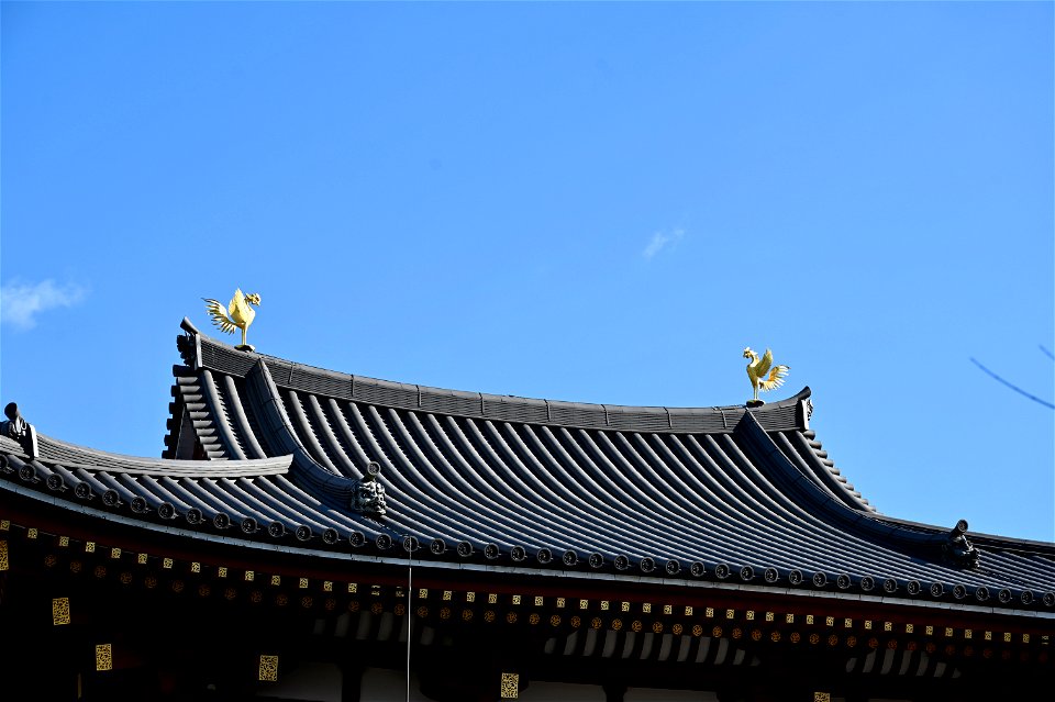 京都宇治平等院鳳凰堂 / Byodoin Hoohdo temple in Kyoto