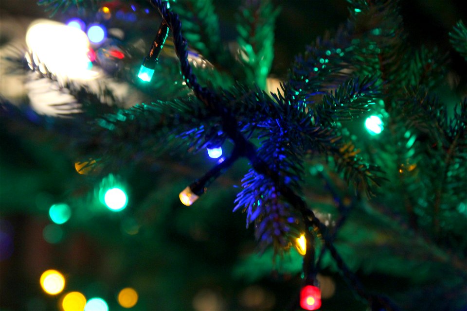 Project 365 #336: 021211 Light The Lights