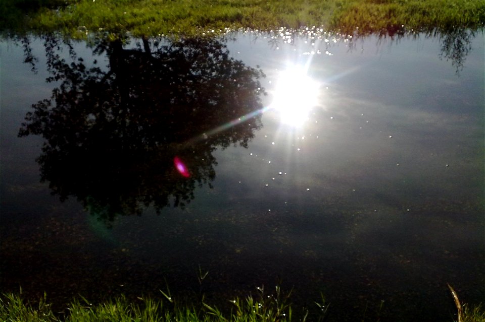 Project 366 #190: 080712 A Period Of Reflection