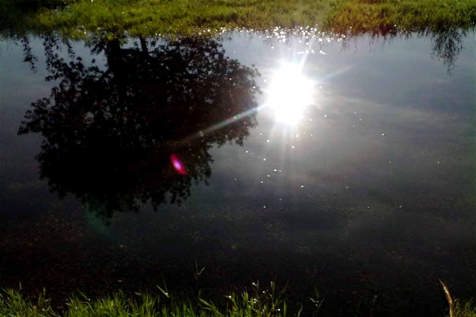 Project 366 #190: 080712 A Period Of Reflection photo