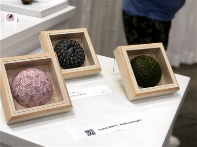 AAW 2022 Woodturners Symposium