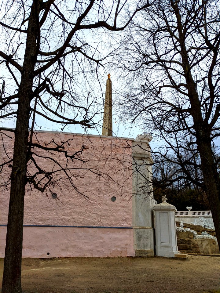 Schönbrunner rosa