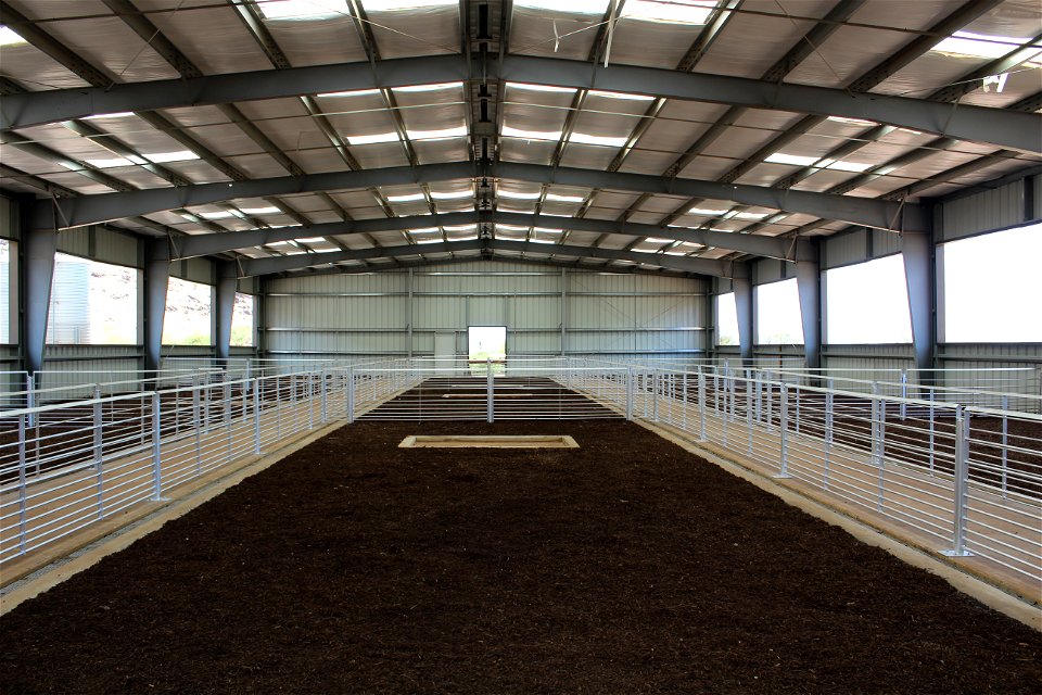 Deep Litter Dry Piggery