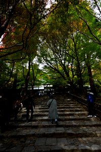 京都龍安寺/Kyoto Ryoanji