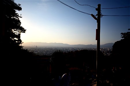 伏見稲荷/Fushimi Inari Shrine
