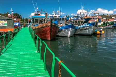 Tour por el Canal de Tenglo_Caleta Anahuac.jpg