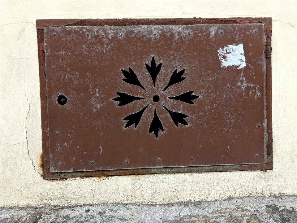 Die Kornblume / the cornflower