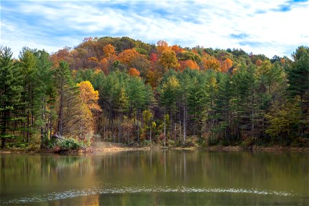 Lamping Homestead Recreation Area photo