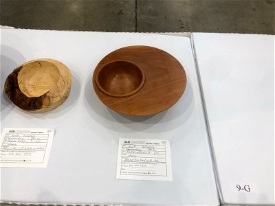 AAW 2022 Woodturners Symposium