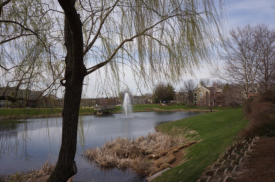 Lakeside Apartments