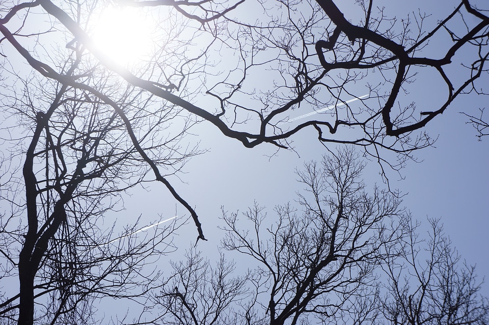 Blue Sky Scenes from the Shenandoah Valley