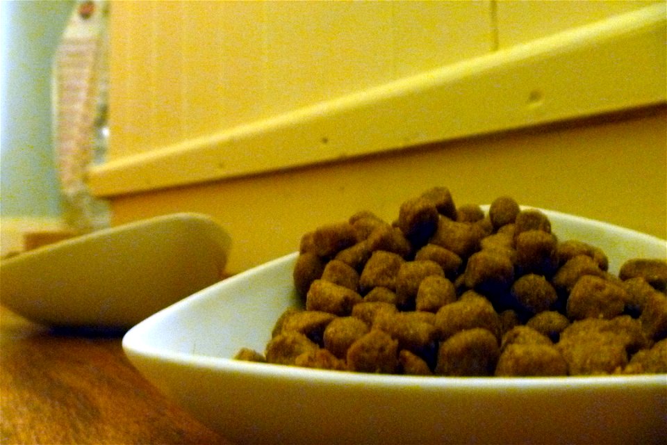 Project 365 #105: 150413 And Tonight They Eat Well