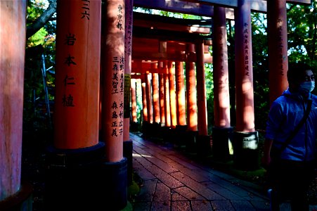 伏見稲荷/Fushimi Inari Shrine