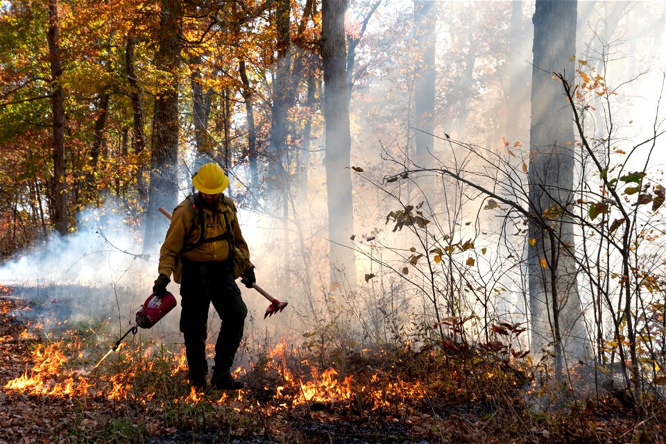 Wildland Firefighter During a Prescribed Burn