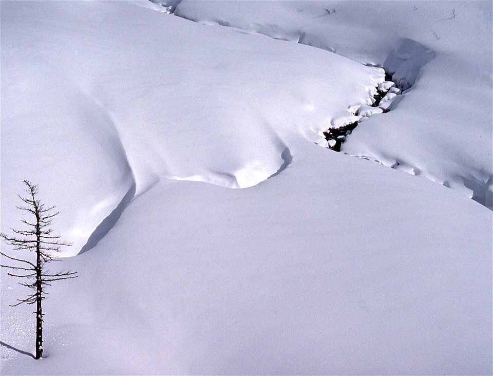 Snow Drift Landscape