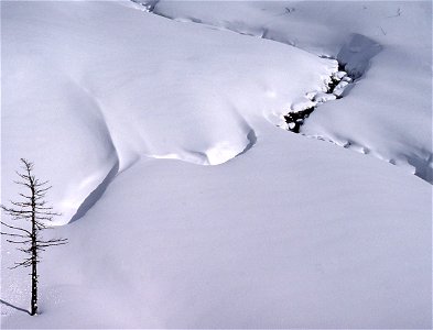 Snow Drift Landscape