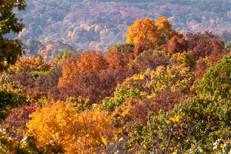 Fall Colors from Monroe Outlook