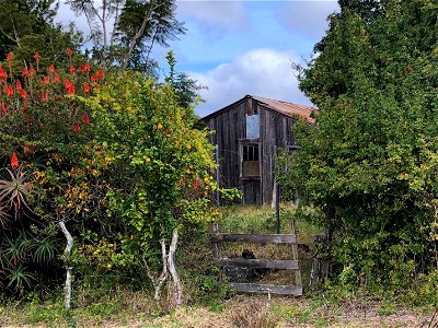 Upcountry Homestead