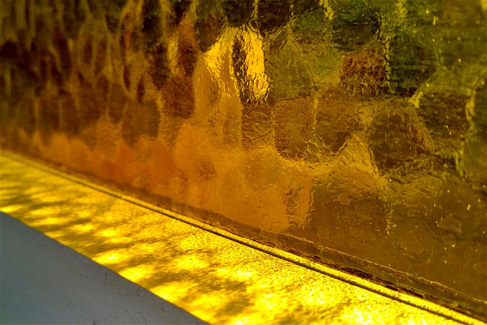 Project 365 #224: 120815 Golden Light photo