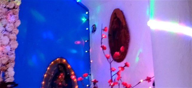 Capilla ermita de Guadalupe, Mazatlán, 26 de diciembre de 2022