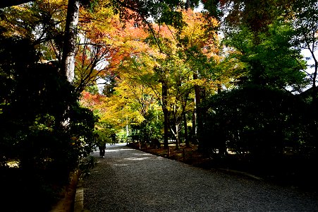 京都龍安寺/Kyoto Ryoanji