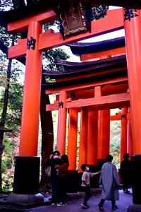伏見稲荷/Fushimi Inari Shrine